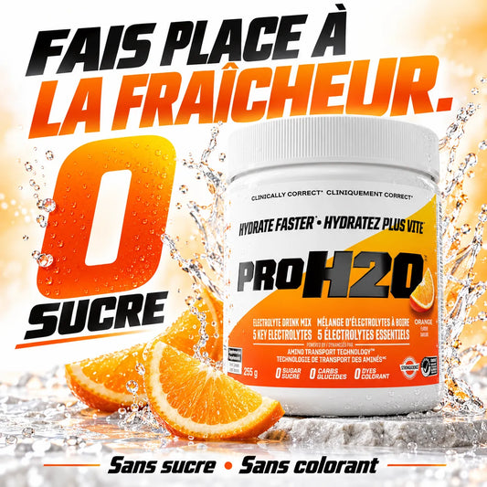 PVL – PROH2O Électrolytes – 255 g