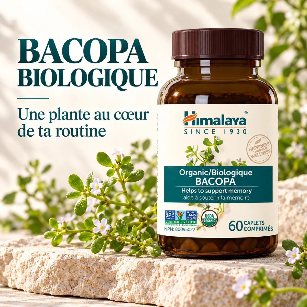 Himalaya - Bacopa 60 caps