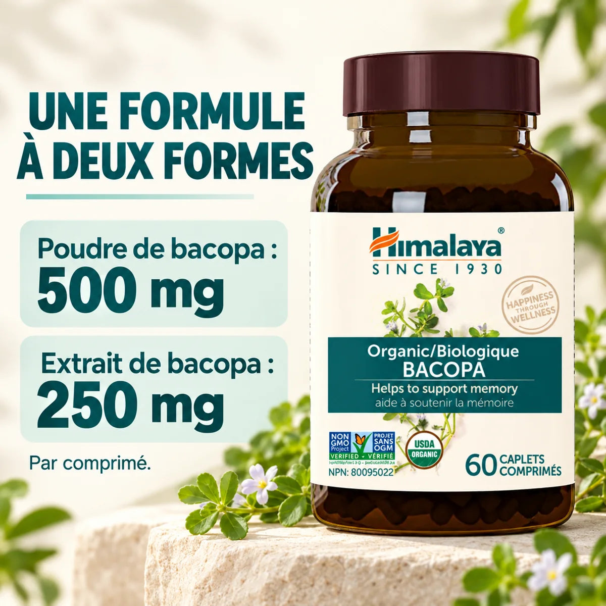 Himalaya - Bacopa 60 caps
