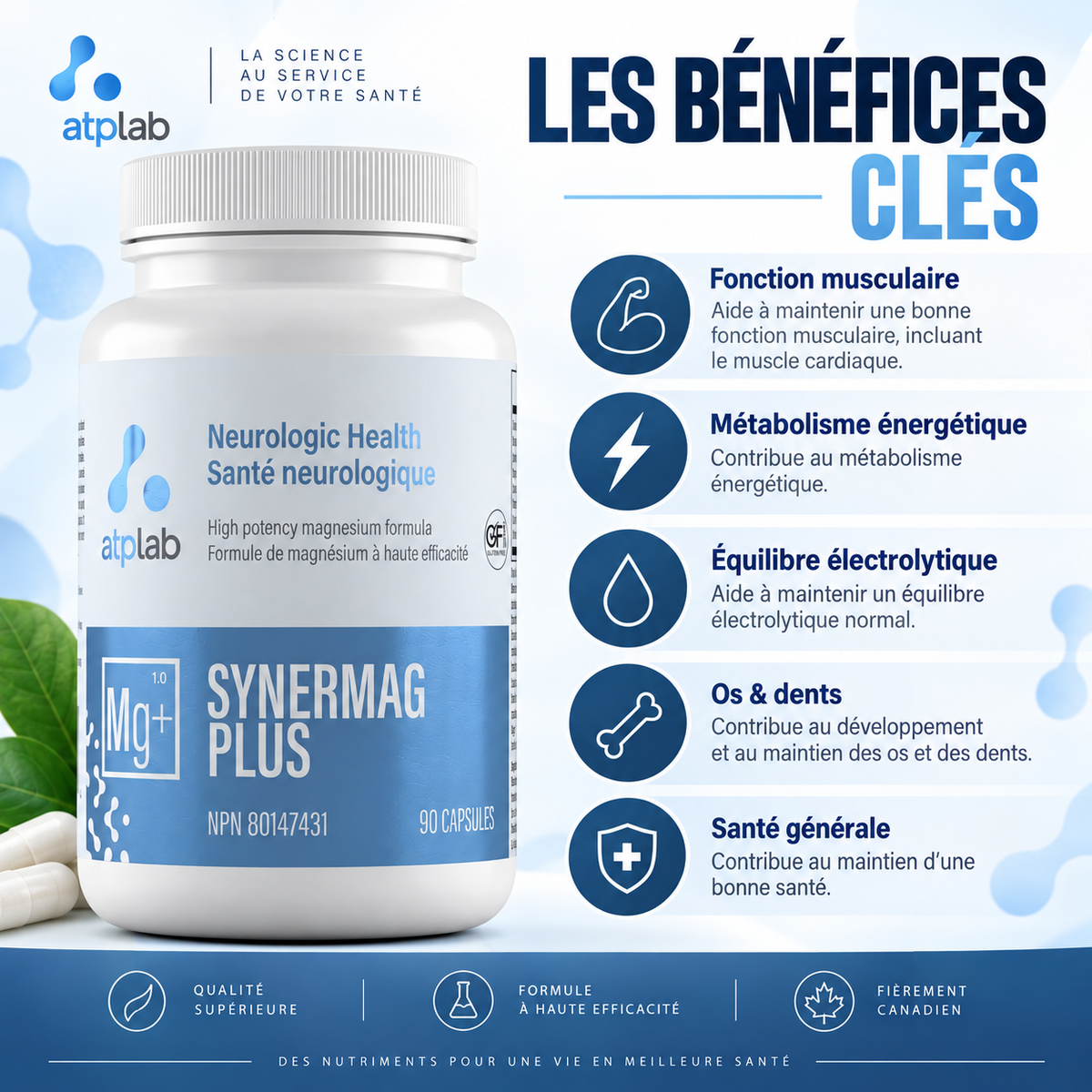 ATP Labs Synermag Plus – 90 capsules