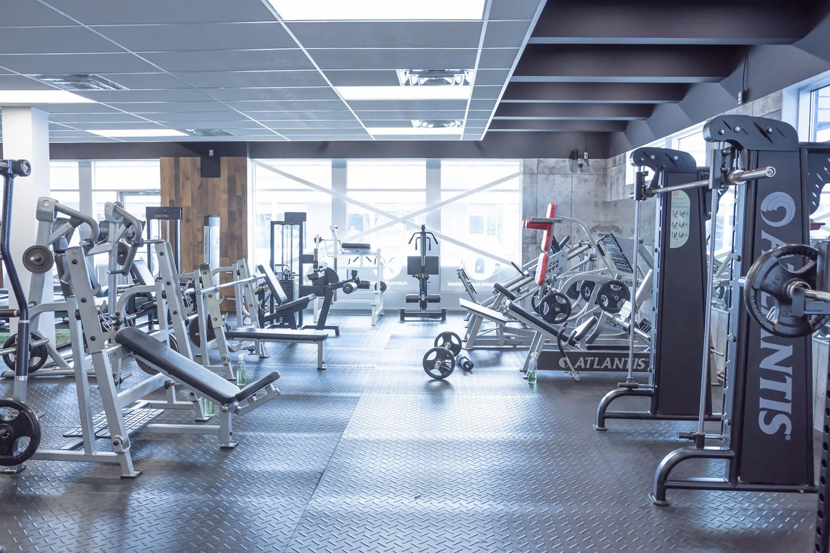 L’expérience d’entraînement Mino Fitness