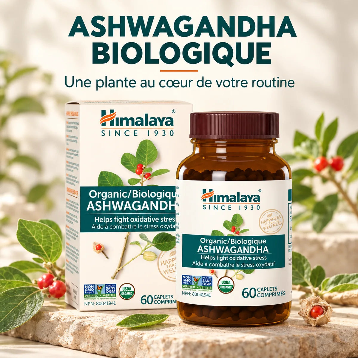 Himalaya - Ashwagandha biologique - 60 comprimés