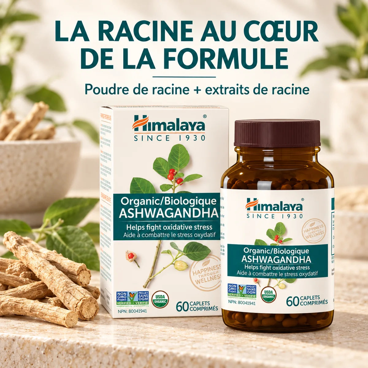 Himalaya - Ashwagandha biologique - 60 comprimés
