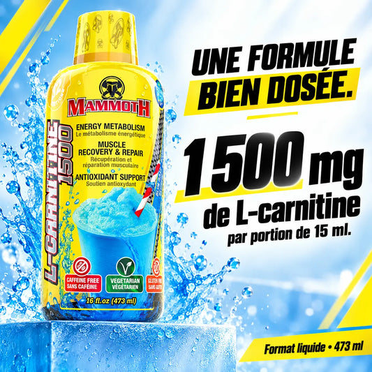 Mammoth - L-Carnitine 473 ml