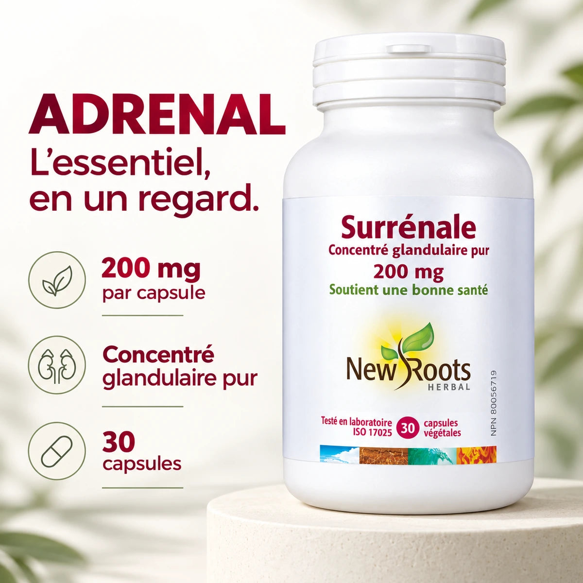 New Roots Herbal - Adrenal