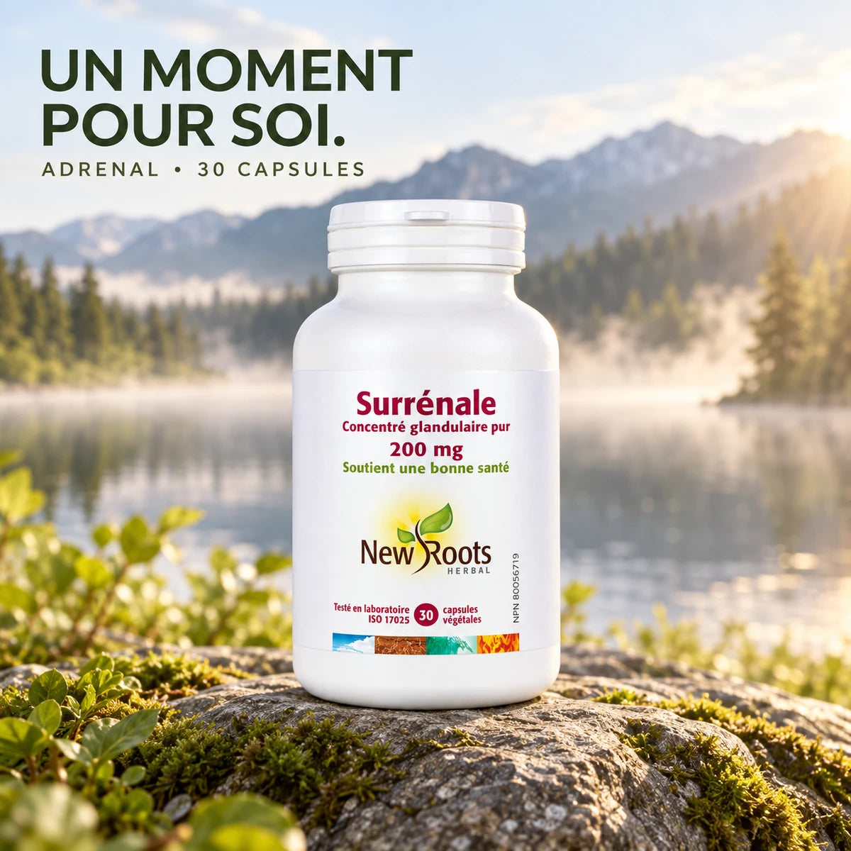 New Roots Herbal - Adrenal